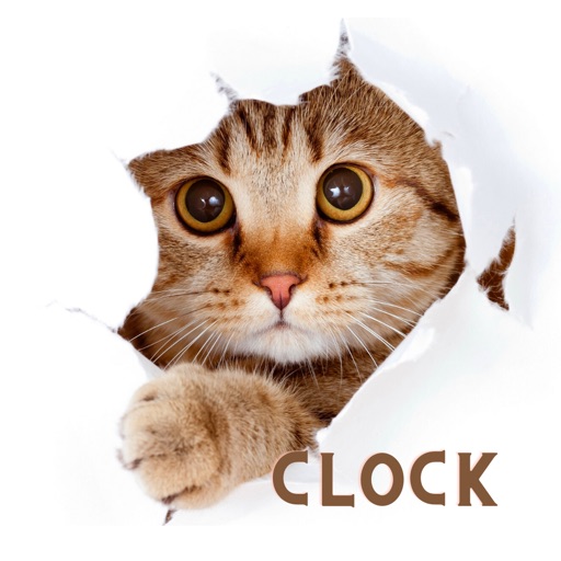 Cat Clock app.digital cute Icon