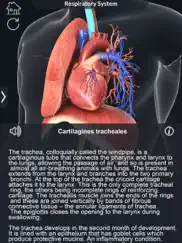 my respiratory system anatomy ipad resimleri 4