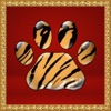 Tiger Chinese icon