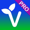 Fussy Vegan Pro - Fussy Vegan Pty Ltd