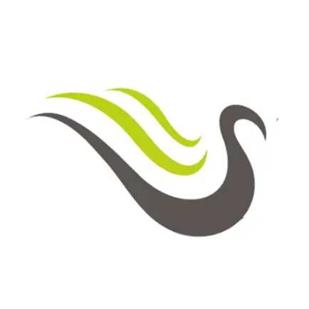 FineFeather Dental Читы