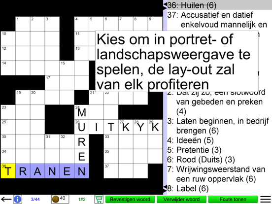 Kruiswoordpuzzel iPad app afbeelding 7