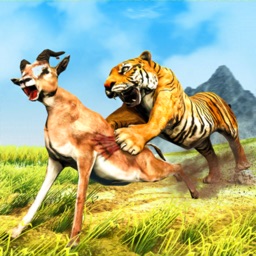 Wild Tiger Adventure 3D - Siberian Jungle Beast Animals Hunting Attack  Simulator by Muhammad Salman