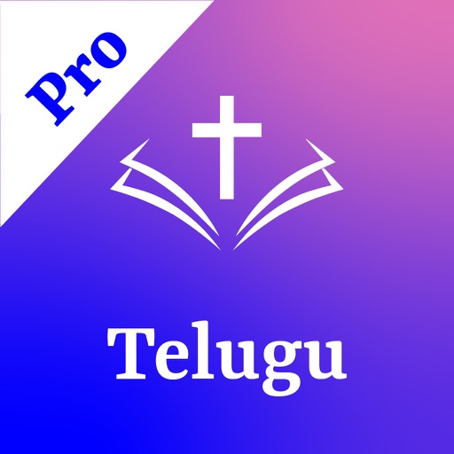 Bible Grandhamu (Telugu) Pro icon