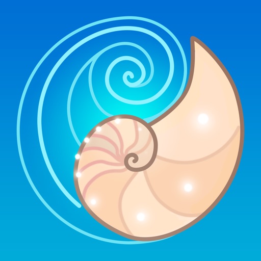 Seashell