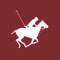 Official App of Mar Del Plata Polo Club