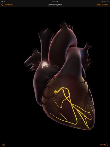 CardioSmart Heart Explorerのおすすめ画像3