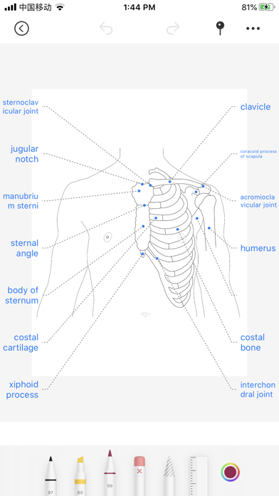 Body coloring book Screenshot