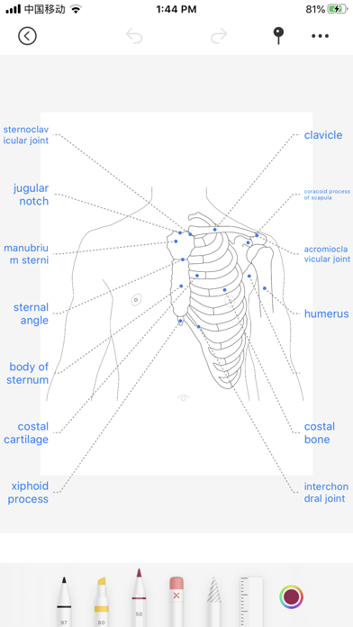 Body coloring bookのおすすめ画像3