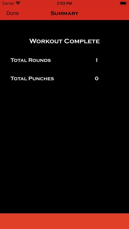 Precision Boxing Coach Lite screenshot-7