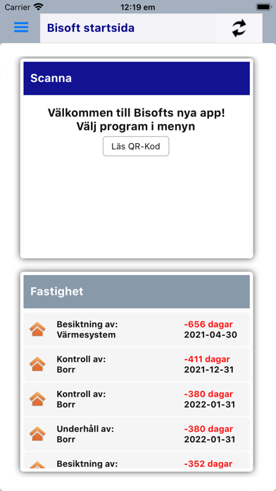 Bisoft Screenshot