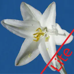Anza-Borrego Wildflowers Lite app icon
