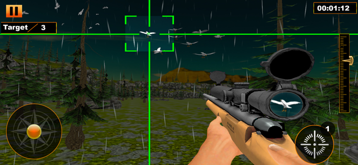 Bird Hunter Sniper Shooter
