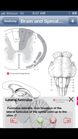 Anatomy Atlasのおすすめ画像3