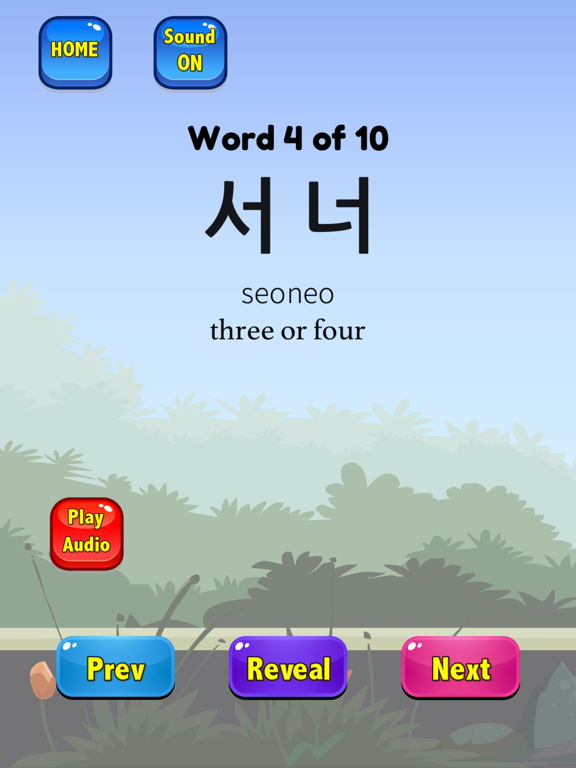Korean Flashcards 2025 TOPIK iPad screenshot