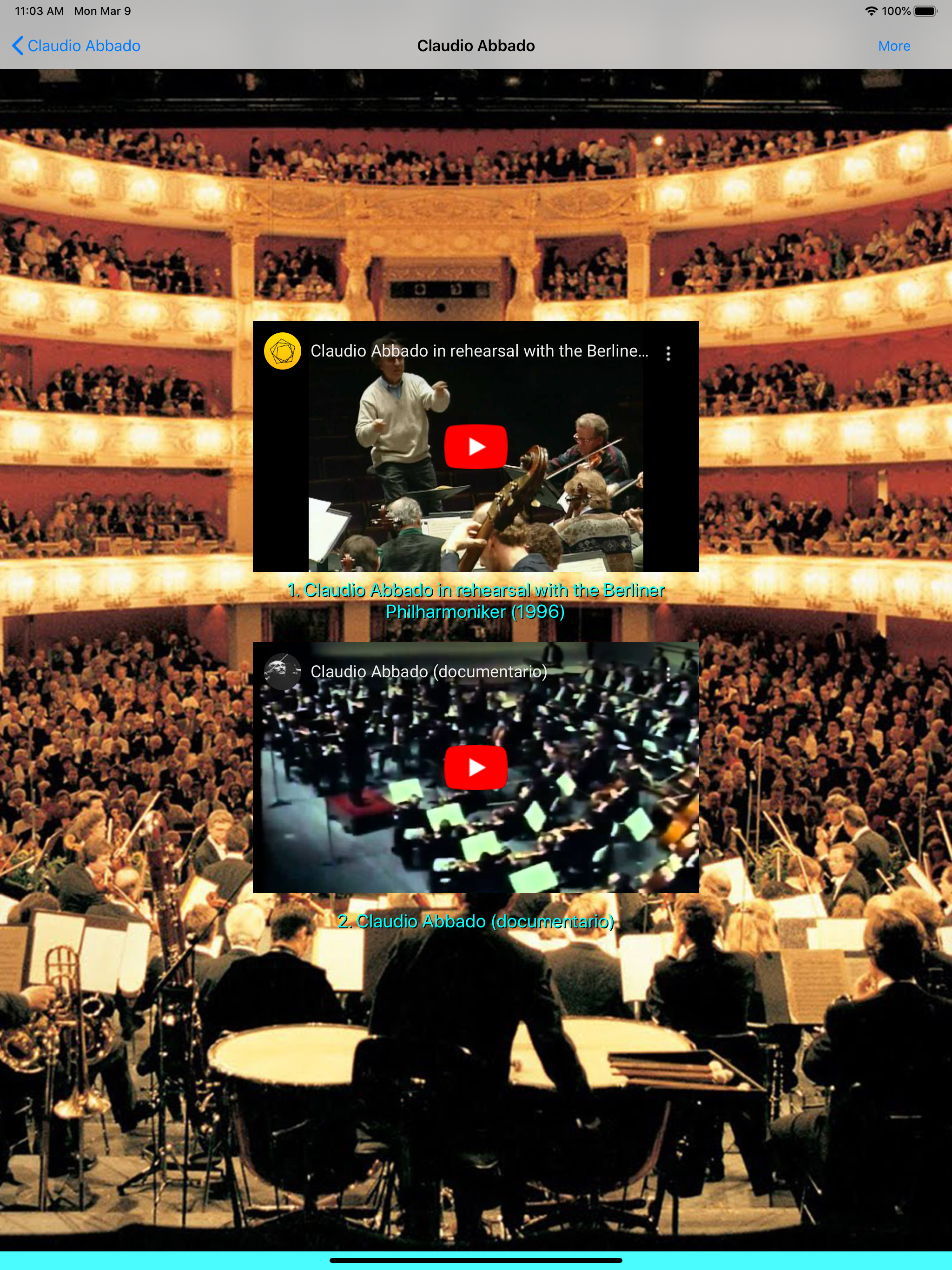 Maestro - The Great Conductors screenshot 10