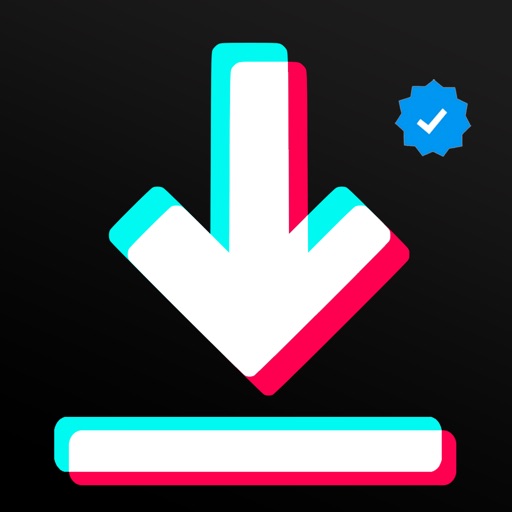SnapTik - Tik Video Saver iOS App