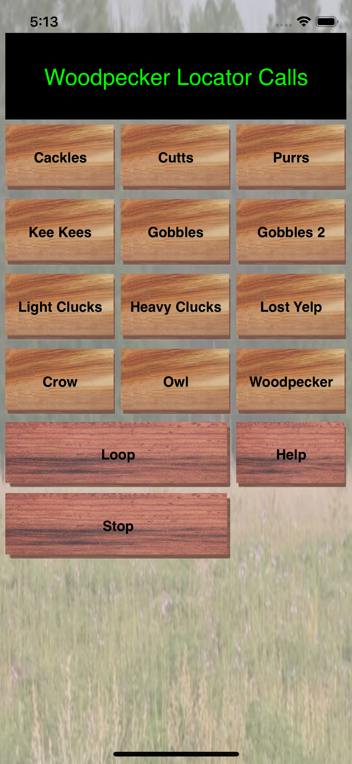 Turkey Hen-Tom Hunting Calls