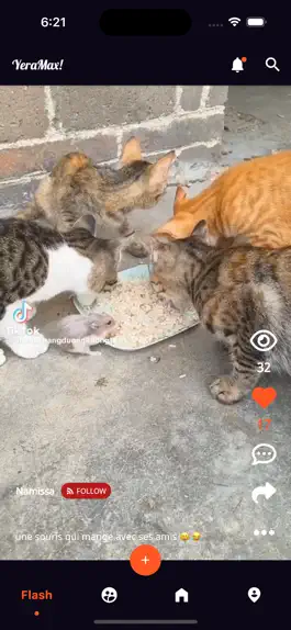 Game screenshot YeraMax! apk