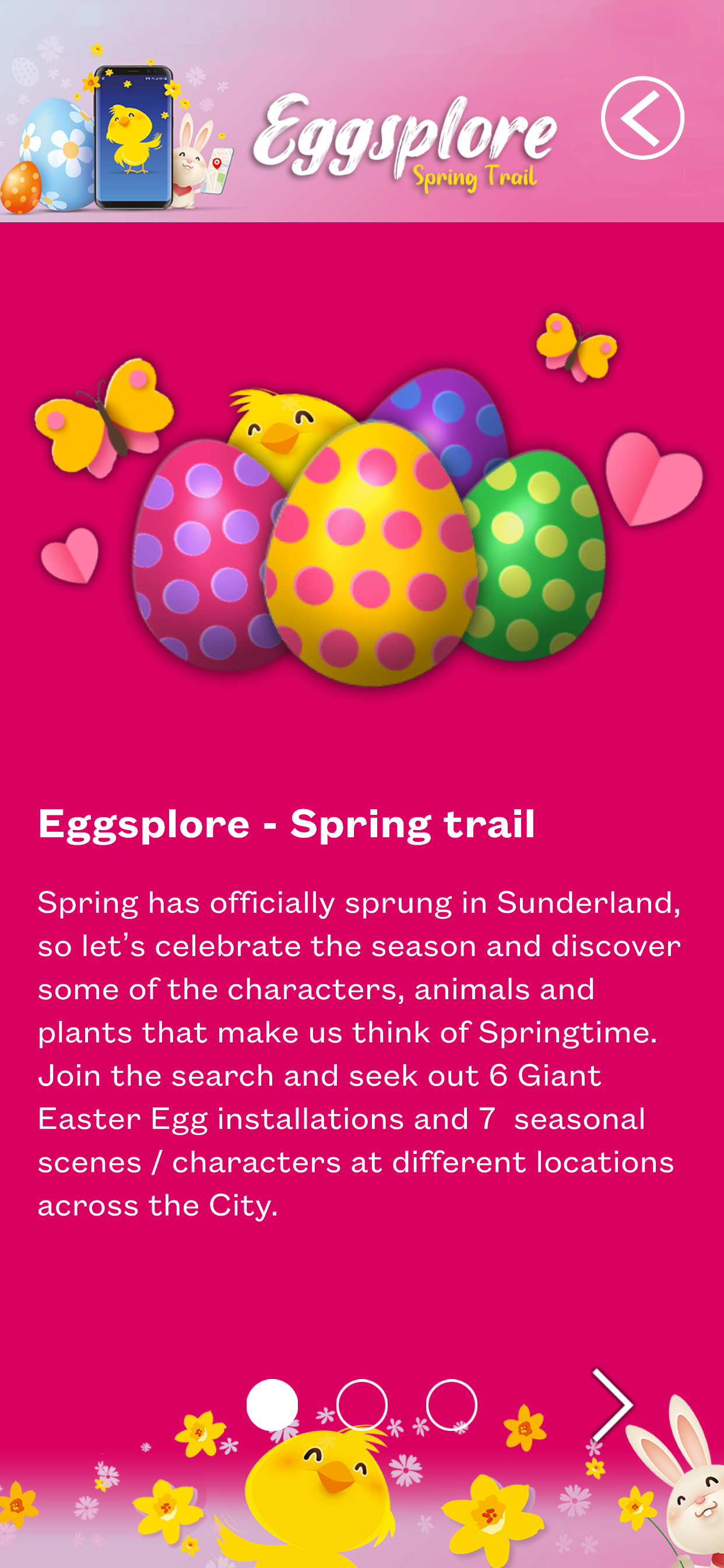 Sunderland Experience