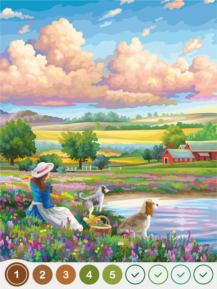 Paint by Number Oil Hey Color