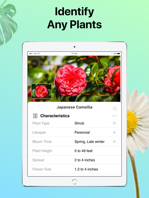 PictureThis - Plant Identifier screenshot 2