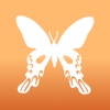 Papilio Maraho 9x9 - iPadアプリ