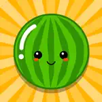 Watermelon Panic! App Positive Reviews