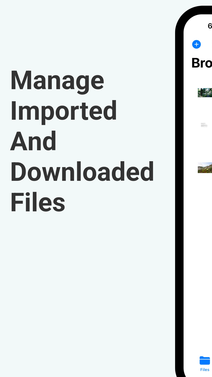 IDM Internet Download Manager