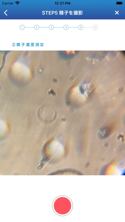 dotest!(ドゥーテスト)