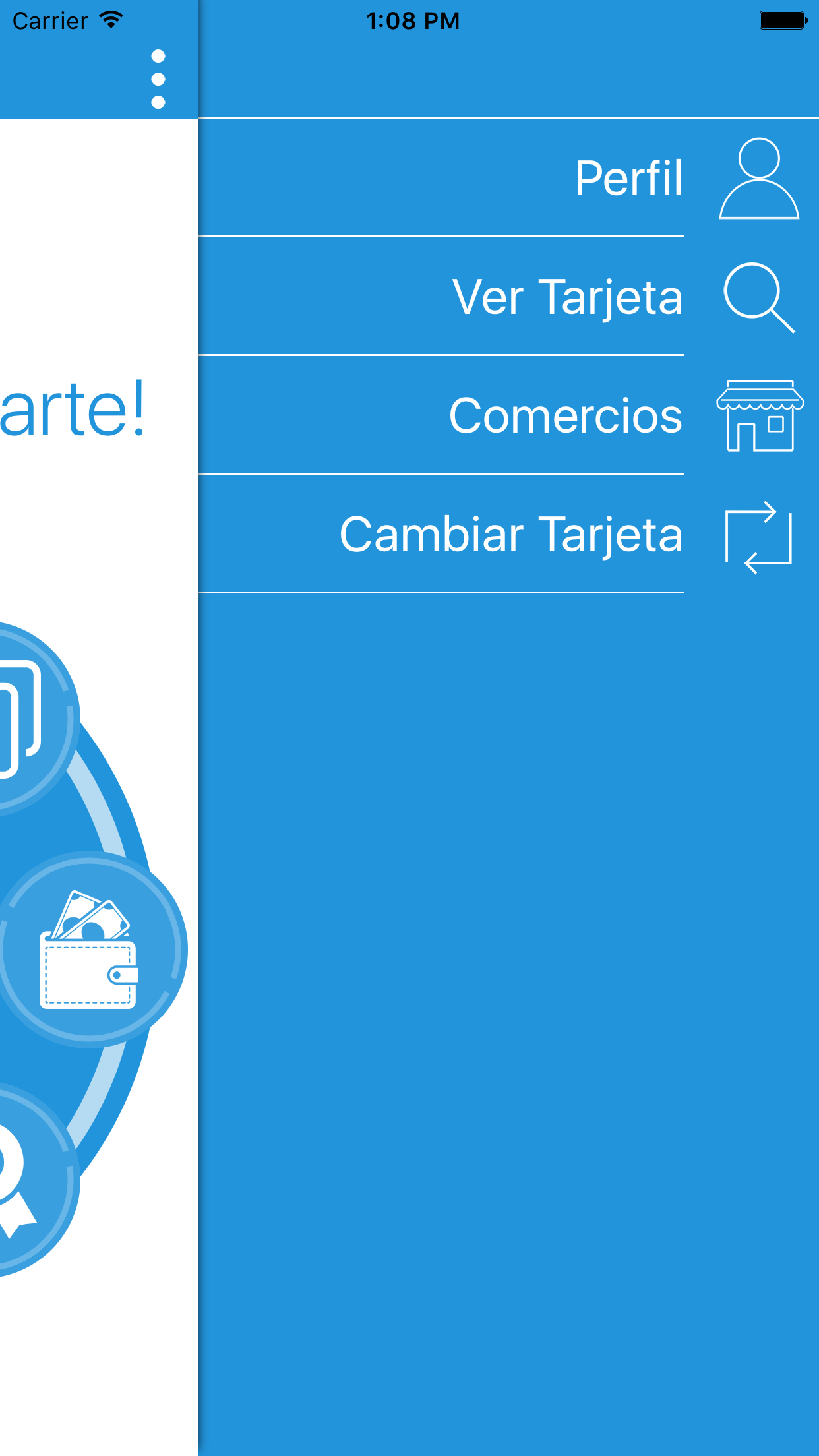 SERVIFACIL screenshot 5