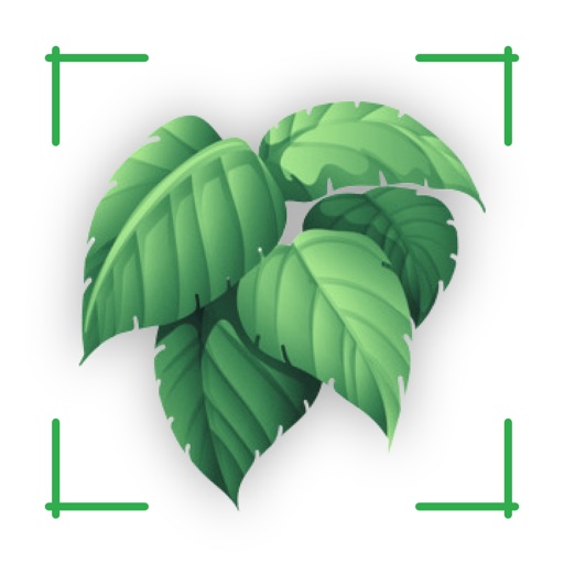 Plantinapp : Plant Identifier