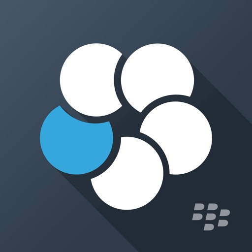 BlackBerry Work iOS App