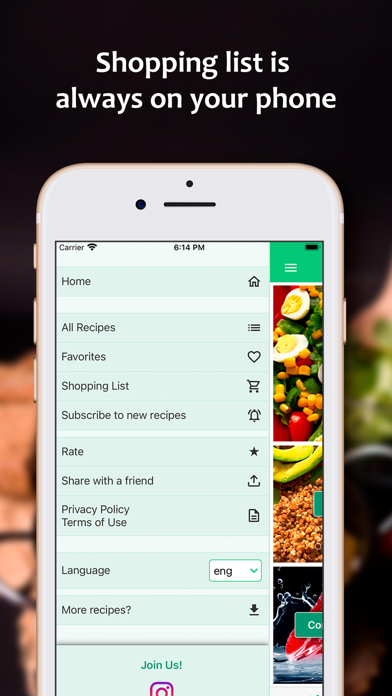 Healthy Food Recipes List Screenshot