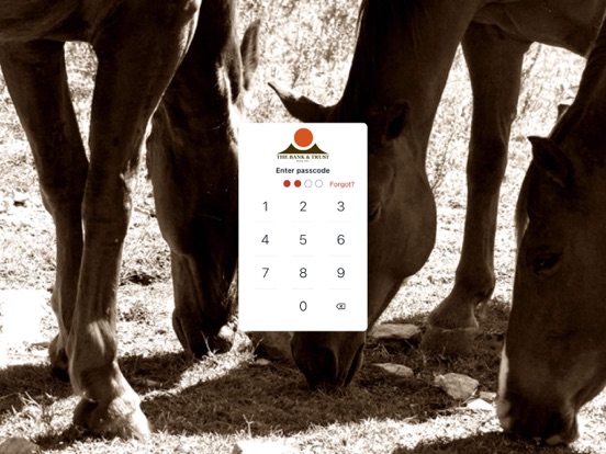 Bank & Trust Mobile Bank iPad screenshot 2 - Finance app