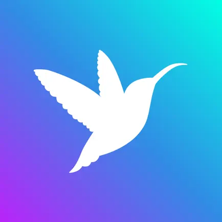 FlyTrendy Influencer Marketing Читы