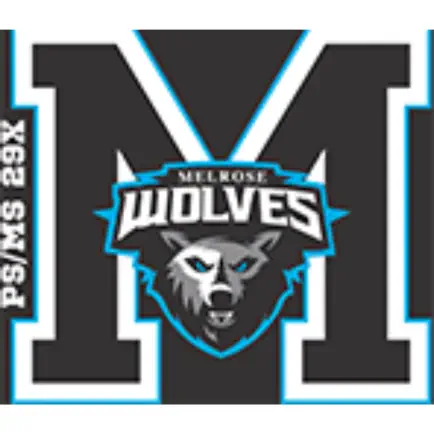 P.S./M.S. 29 Melrose School Читы