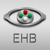 Eye Handbook - Cloud Nine Development LLC