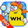 WH Question Cards - Pro: icon