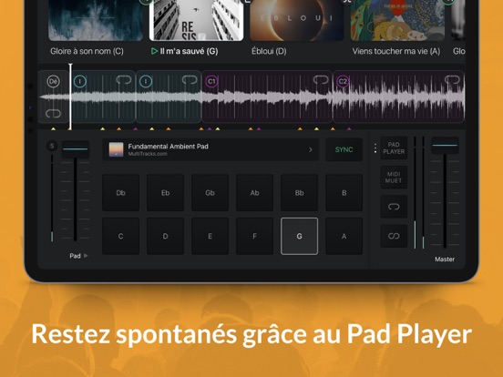 Screenshot #6 pour Playback