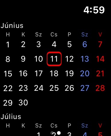 Apple Watch screenshot