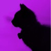 Purple aesthetic wallpapers 4k icon