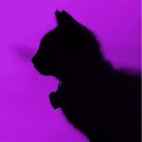 Purple aesthetic wallpapers 4k