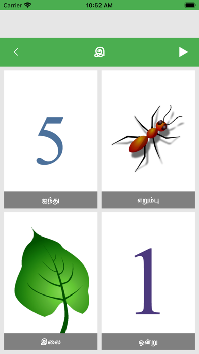 Learn Tamil Basics Screenshot