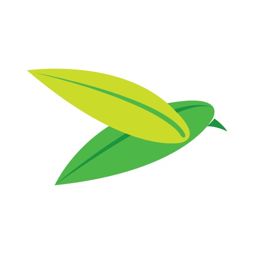 The Baya Company by Catapult Realty Consultants