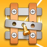 Screw Puzzle Game Nut Bolt