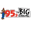 95.9 The Big Dawg icon