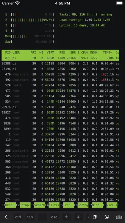 Screenshot 3 von 5 zu ServerCat - SSH Terminal & VPS