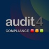 Audit 4 icon