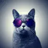 Cats Wallpapers 4K HQ Notch App Feedback